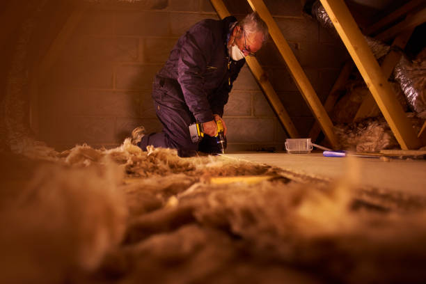 Types of Insulation We Offer in Chesaning, MI